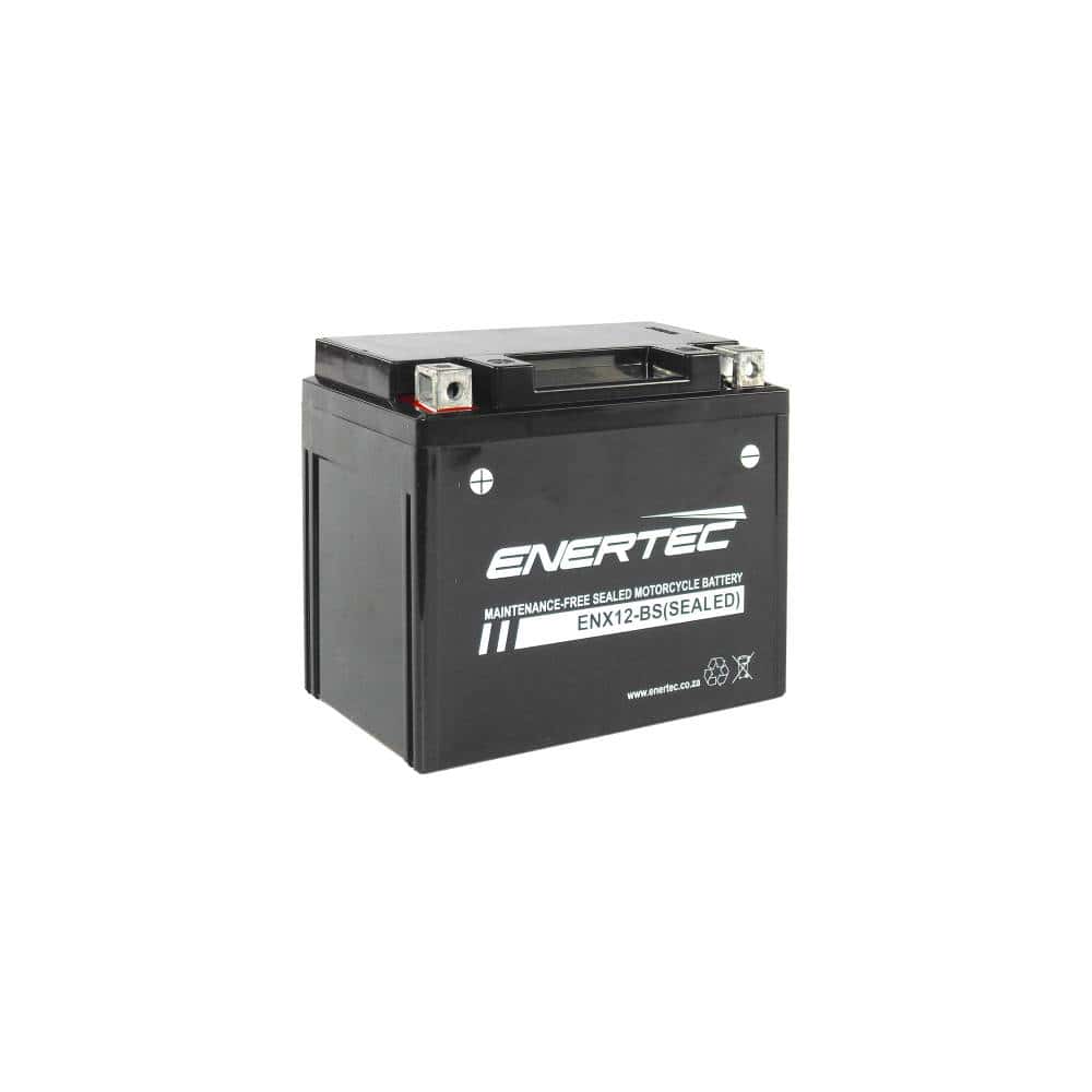 12 bs jpg 1000x1000(1).jpg